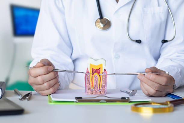 Best Walk-In Emergency Dental Services in Somerset, KY